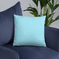 Travetude Pillow