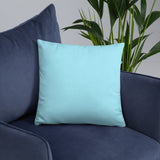 Travetude Pillow