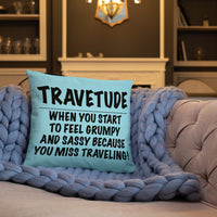 Travetude Pillow