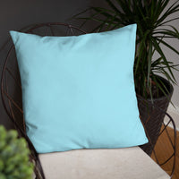 Travetude Pillow