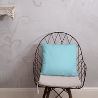 Travetude Pillow
