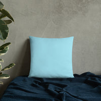 Travetude Pillow
