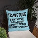 Travetude Pillow