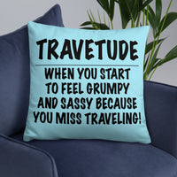 Travetude Pillow