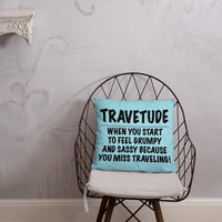 Travetude Pillow