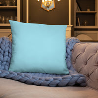 Travetude Pillow