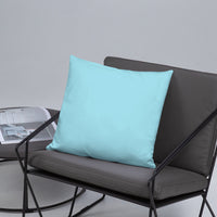 Travetude Pillow