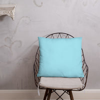 Travetude Pillow